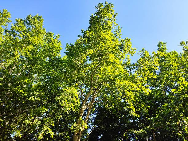 istock Beautiful nature photos 2223265692