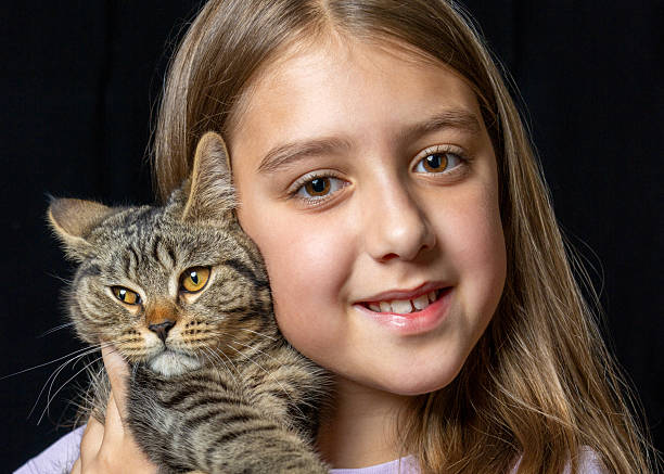 istock Little girl holding tabby kitten close, posing in soft studio light on black backdrop. Touching moment capturing innocence, love for pets, and emotional connection. 2223269081