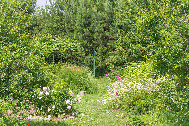istock Ornamental garden by sunny spring day 2223270269