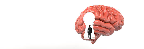 istock Businessman standing in keyhole shaped door in a 3d brain 2223272156