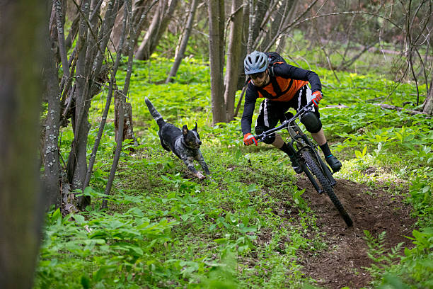 istock Mountain Bike Dog Ride 2223278924