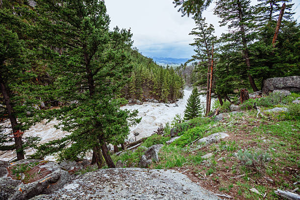 Lamar River, Cody, Wyoming, USA