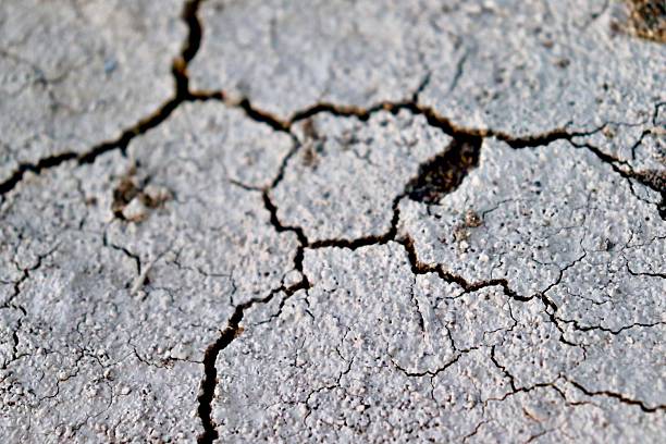 Up close view to the earth cracking beneath our feet.