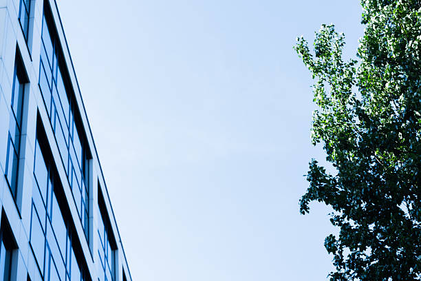 A modern glass office building stands next to a leafy green tree under a clear blue sky. For visual context in business or environmental topics.