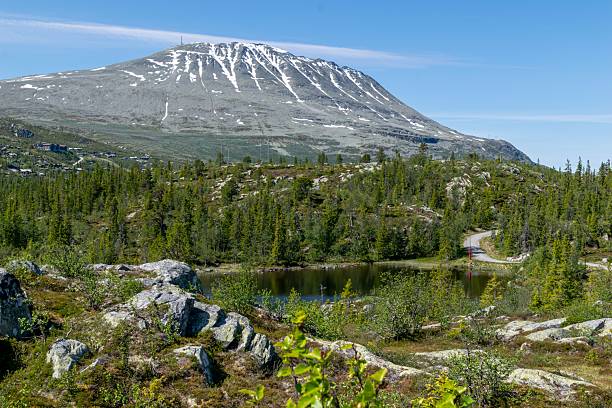 istock Hiking Trail and Forest Pond with Gaustatoppen View in Summer 2223288568