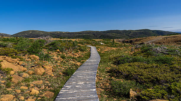 istock Tablelands in Gros Morne National Park 2223290422