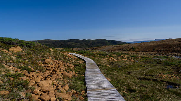 istock Tablelands in Gros Morne National Park 2223290423