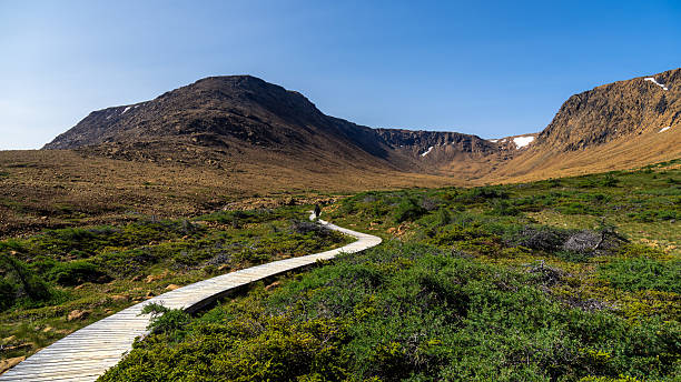 istock Tablelands in Gros Morne National Park 2223290424