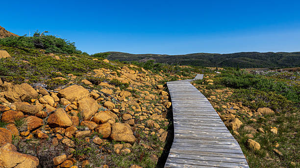 istock Tablelands in Gros Morne National Park 2223290428