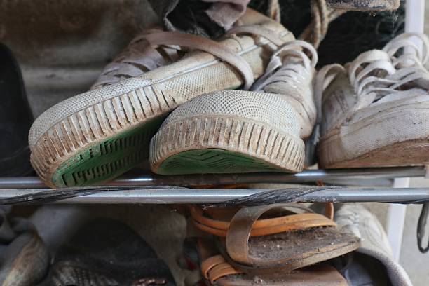 Close-up of hiker's boots on mountain trail
