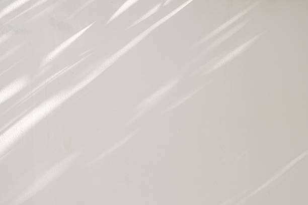 istock Abstract natural tree leaves shadow on white wall background 2223292174
