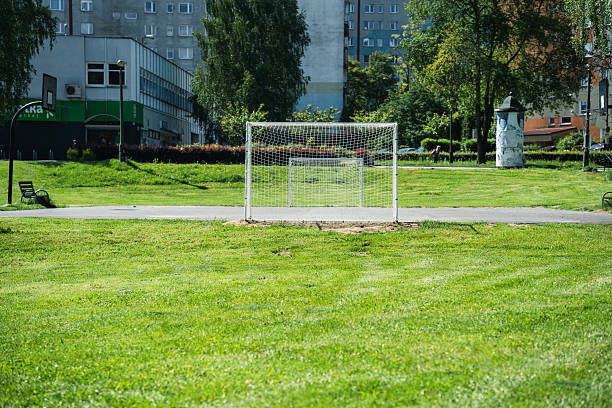 istock Empty Soccer Goal on Urban Park Field 2223293525