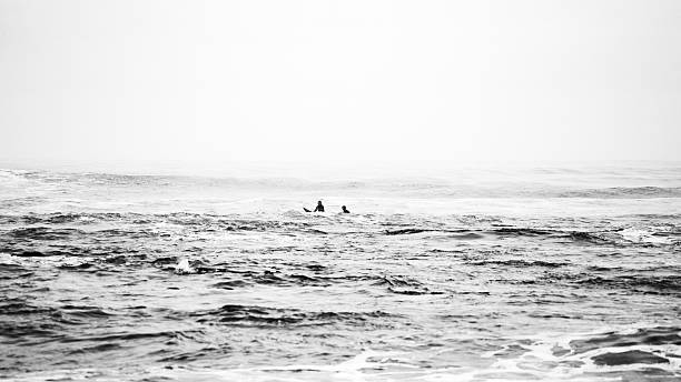 istock two in the sea 2223296248