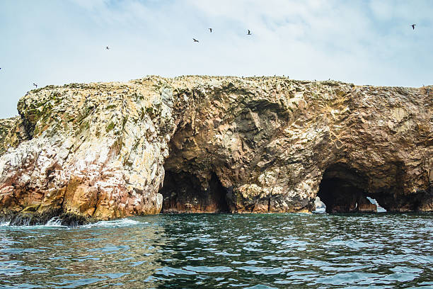 istock Ballestas Islands, Paracas - Ica 2223303776
