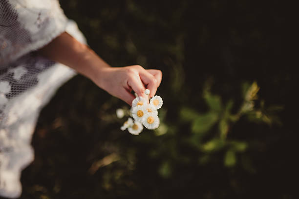 Little girl picking flowers and daisies with copy space