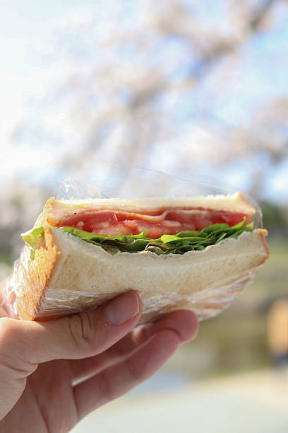 istock A riverside picnic with BLT sandwiches 2223308832