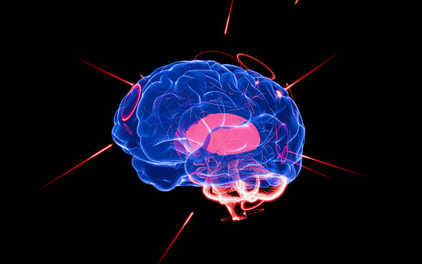 istock Mind activity illustrated through glowing neuron networks, highlighting neural circuits, mental clarity, and synaptic processing power – 3D Rendering 2223309102