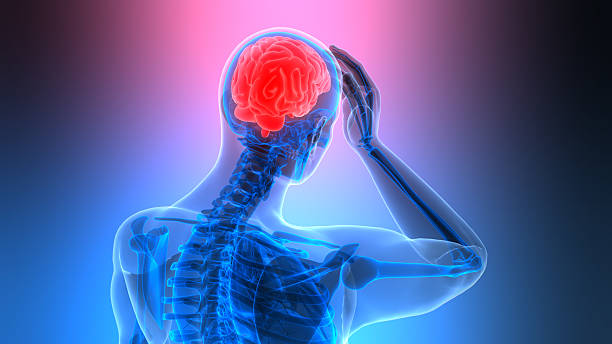 istock Human Suffering with Severe Headache Anatomy 2223309273