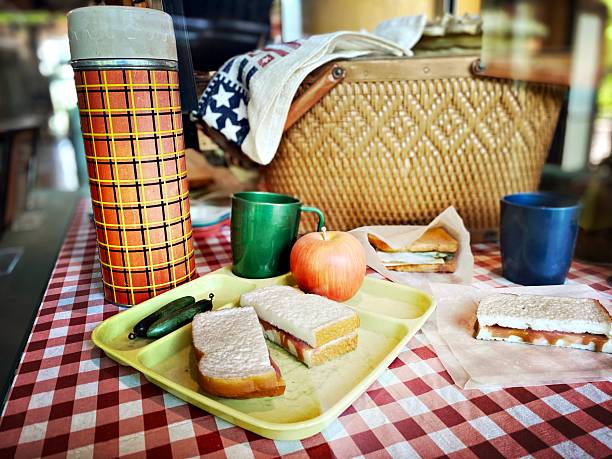 Old Fashioned Lunch with Thermos, Sandwich and Apple on Display