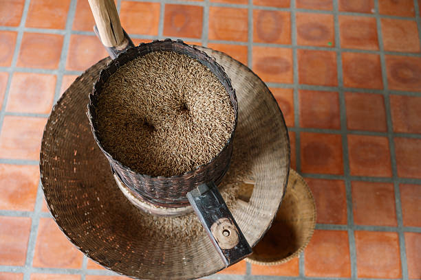Unhulled rice sits in a bamboo tray, ready for the traditional winnowing process to separate the husk from the grain. This preparatory step reflects the wisdom of local rice farming culture, preserving age-old practices in a hands-on and mindful way.