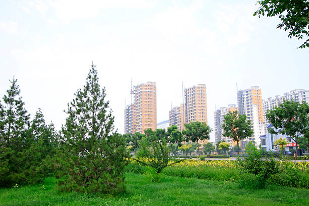 istock Green plants and unfinished buildings 2223315548
