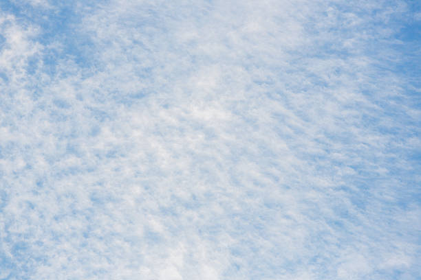 Altocumulus clouds in the blue sky at sunny day ,Blue Sky Background with White Clouds,vast blue sky,little puffy clouds
