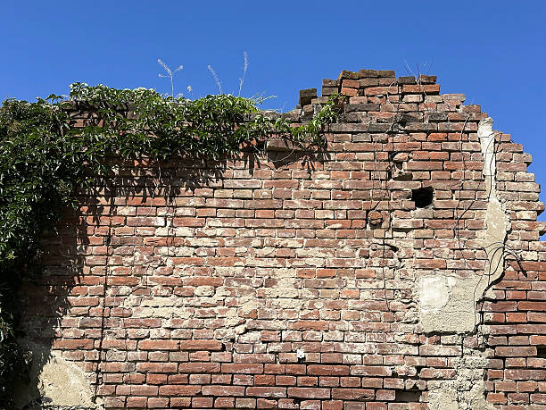 Brick wall of an old demolished house