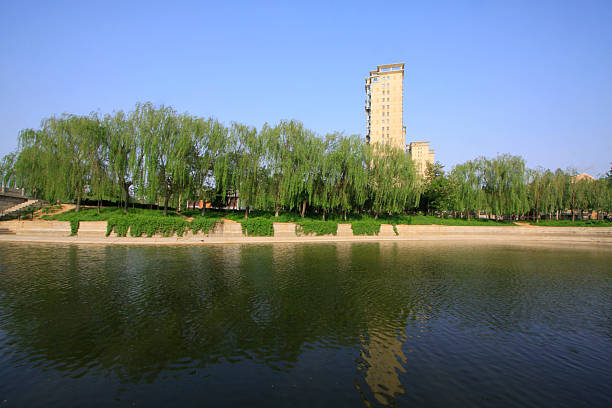 Buildings and trees in a city, closeup of photo