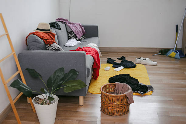 istock Messy Living Room 2223324225