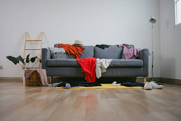 istock Messy Living Room 2223324234