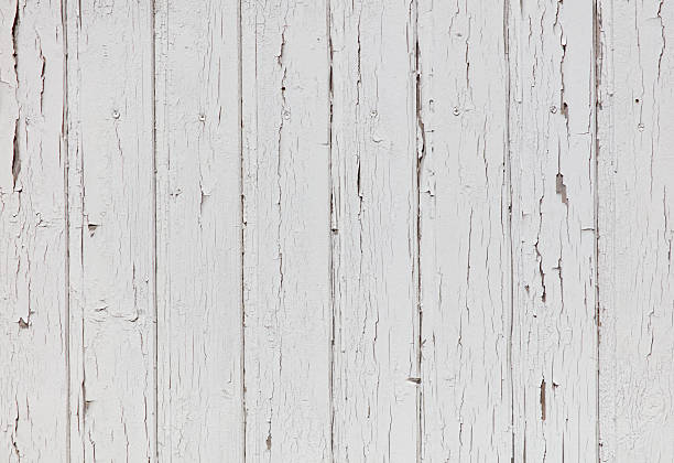 istock The image is a white background with a wooden texture 2223328501