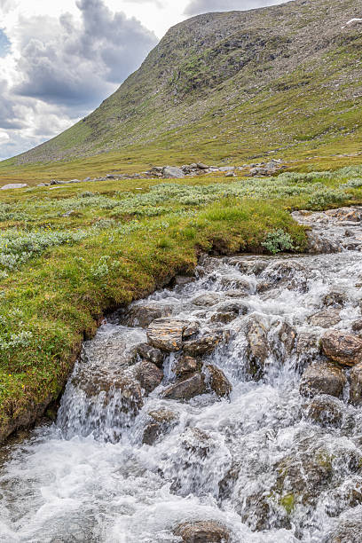 Landscape with with wild river in the Dovrefjell nature reserve in Central Norway