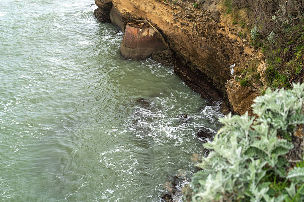 Biarritz, France, March 29, 2024: Steep cliffs and muddy waters of the winter ocean, two seagulls huddled against the rocks, editorial image