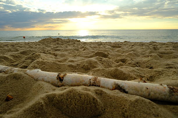 A large piece of driftwood sits on the beach during a coastal sunrise, with waves crashing ashore in the background
