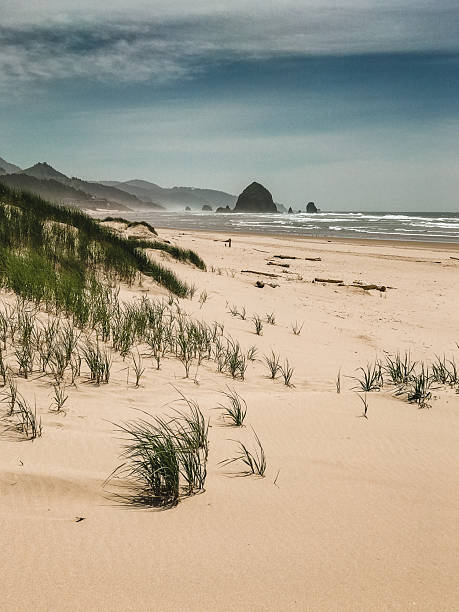istock dunes of sand in Oregon 2223333405