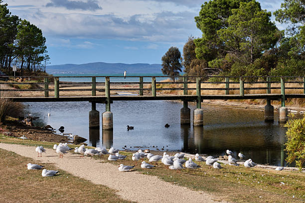 istock Footbridge - Swansea 2223335825