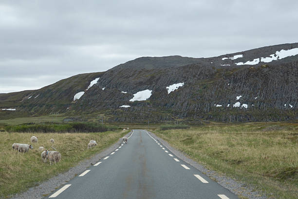 Scenic route Varanger