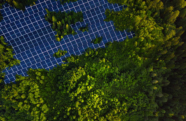istock Solar panels park installed in green forest.Alternative energy is future.Solar panels generating green energy electric.Green energy reduce carbon emissions and makes earth cleaner and more ecological. 2223339743