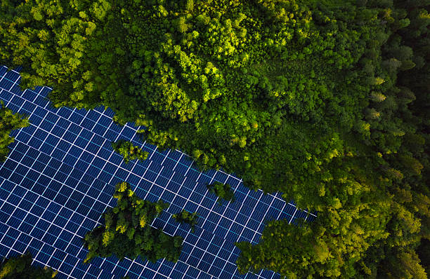 istock Solar panels park installed in green forest.Alternative energy is future.Solar panels generating green energy electric.Green energy reduce carbon emissions and makes earth cleaner and more ecological. 2223339748