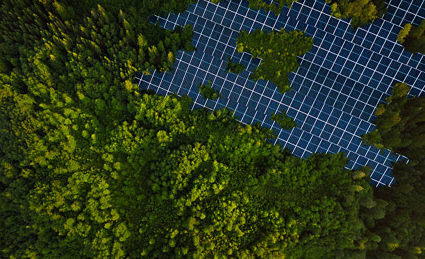 istock Solar panels park installed in green forest.Alternative energy is future.Solar panels generating green energy electric.Green energy reduce carbon emissions and makes earth cleaner and more ecological. 2223339830