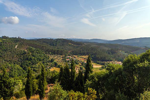 A sweeping view of rolling hills covered in dense forests, dotted with scattered houses and farmland under a bright blue sky