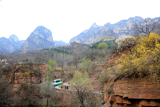 bus on the mountain highway