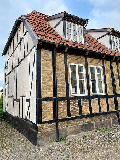 istock houses with historical architecture 2223343579