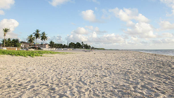 istock Deserted tropical beach with blue sky and palm trees on Brazilian coast 2223345373