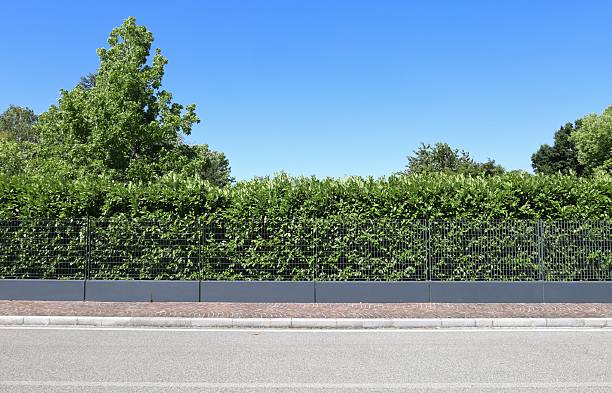 istock Fence made of gray paster base with grid pattern railing on top. Hedge, trees and sky on behind. Sidewalk and street in front 2223347825