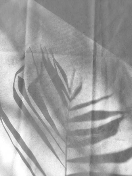 istock Palm leaf shadow on wrinkled white fabric in sunlight, minimal aesthetic 2223348630