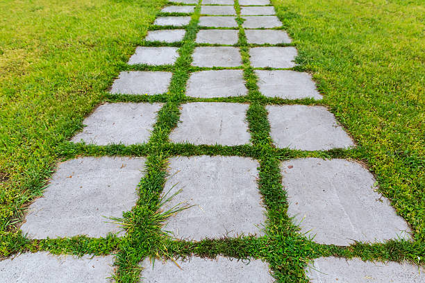 Wet footpath paved with concrete square slabs with spaces between them are overgrown with grass in the middle of the lawn during a spring rain