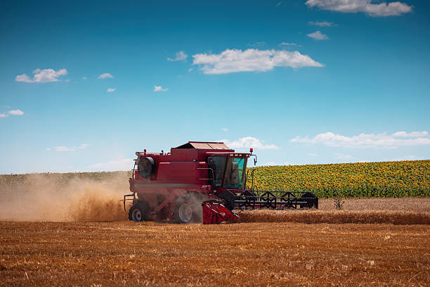 istock Combine harvester machine working in a wheat field 2223353436