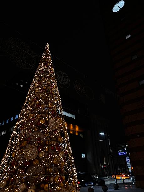 istock Outdoor Christmas Tree with Festive Decorations 2223353559