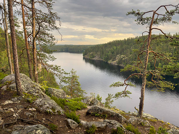 istock Finnish landscape in summer 2223354470